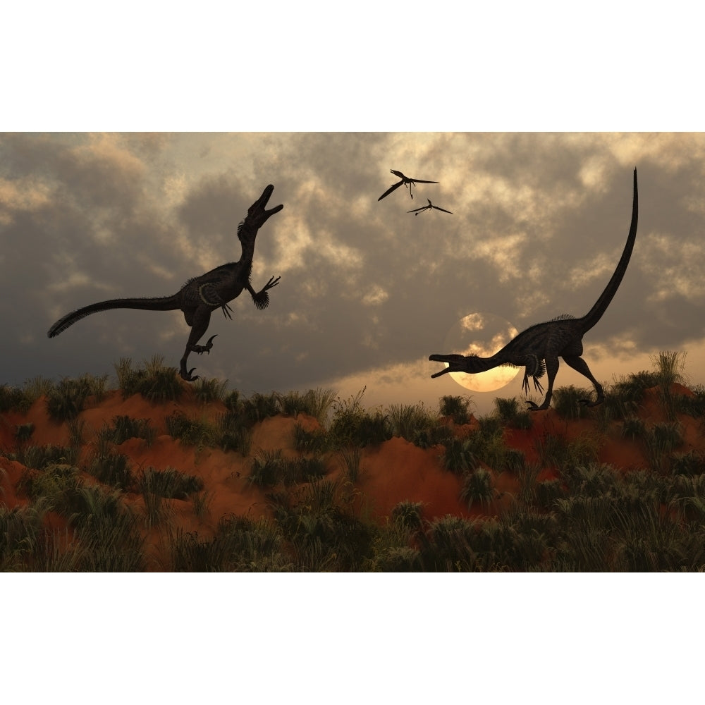 A pair of velociraptors involved in a territorial dispute Poster Print Image 2