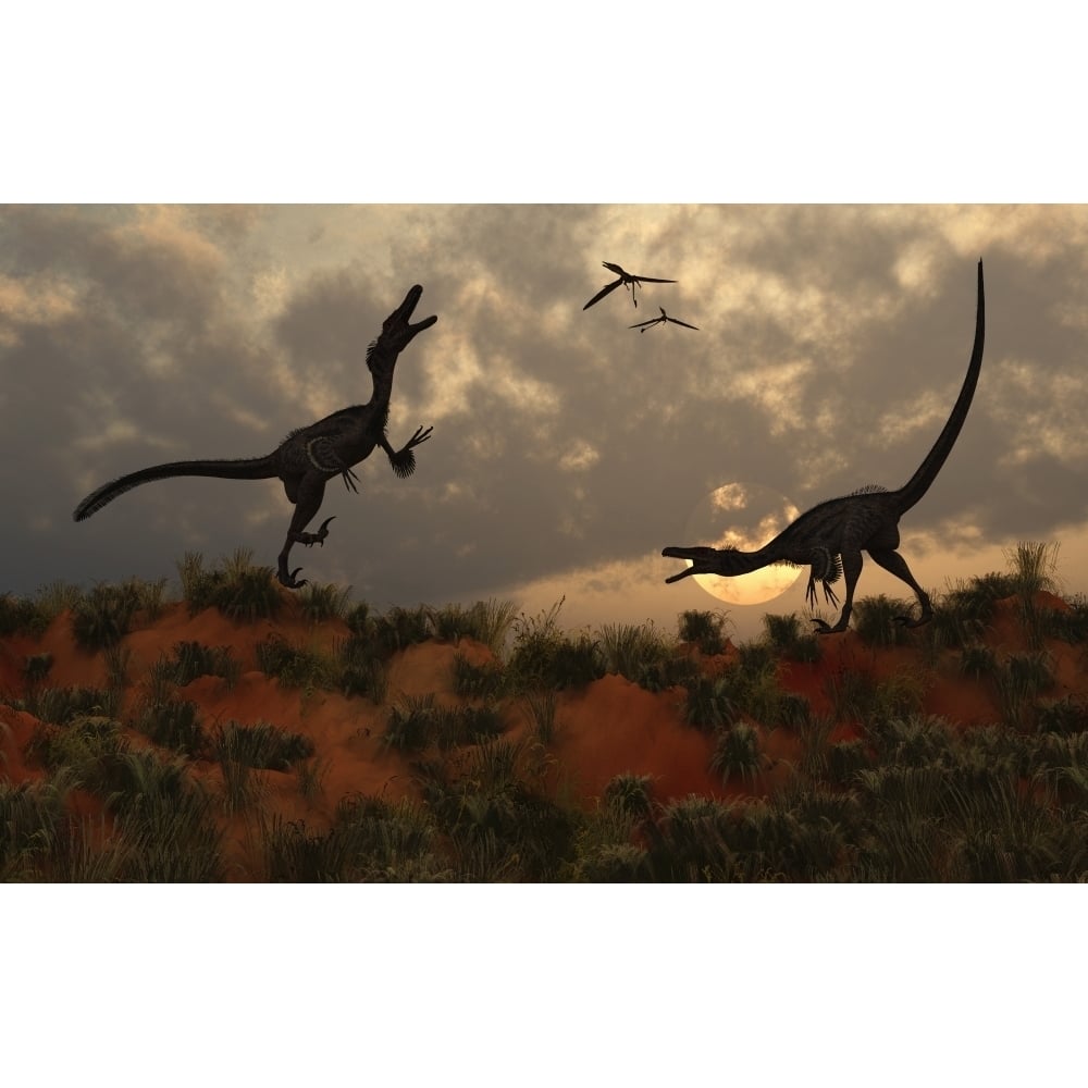 A pair of velociraptors involved in a territorial dispute Poster Print Image 1