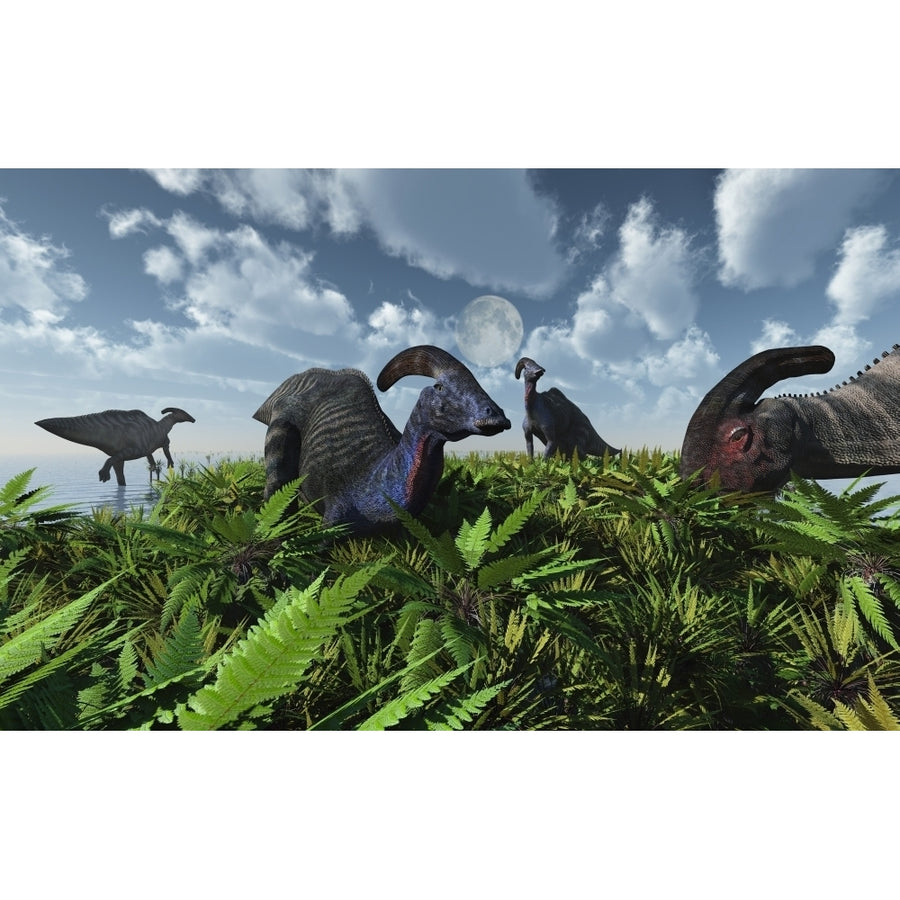 A herd of herbivorous Parasaurolophus dinosaurs grazing Poster Print Image 1