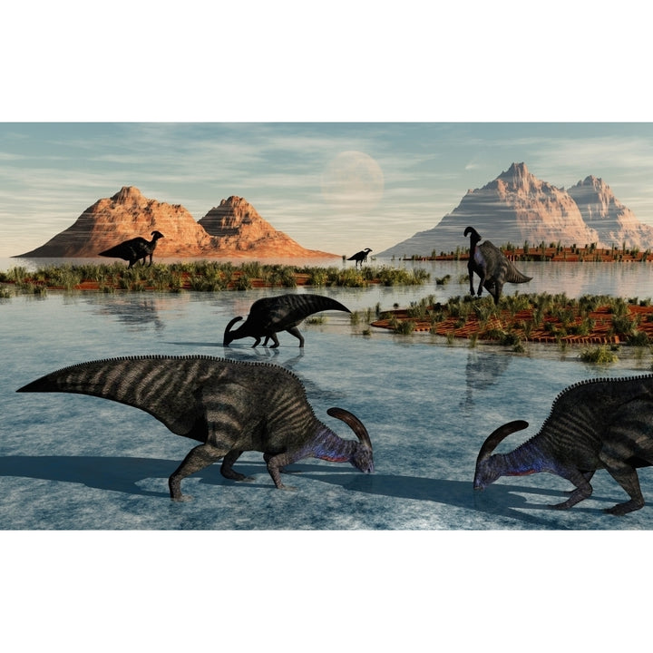 A herd of Parasaurolophus duckbill dinosaurs grazing Poster Print Image 2