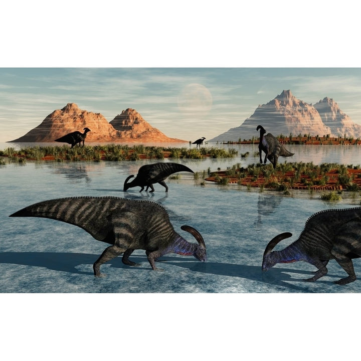 A herd of Parasaurolophus duckbill dinosaurs grazing Poster Print Image 1