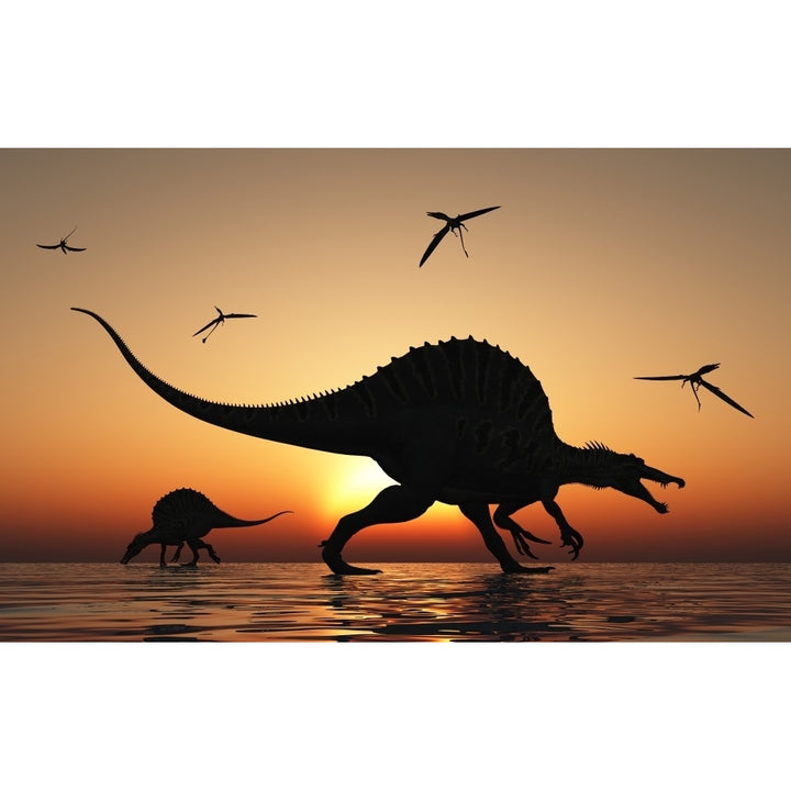 A pair of Spinosaurus hunting for fish Poster Print Image 1