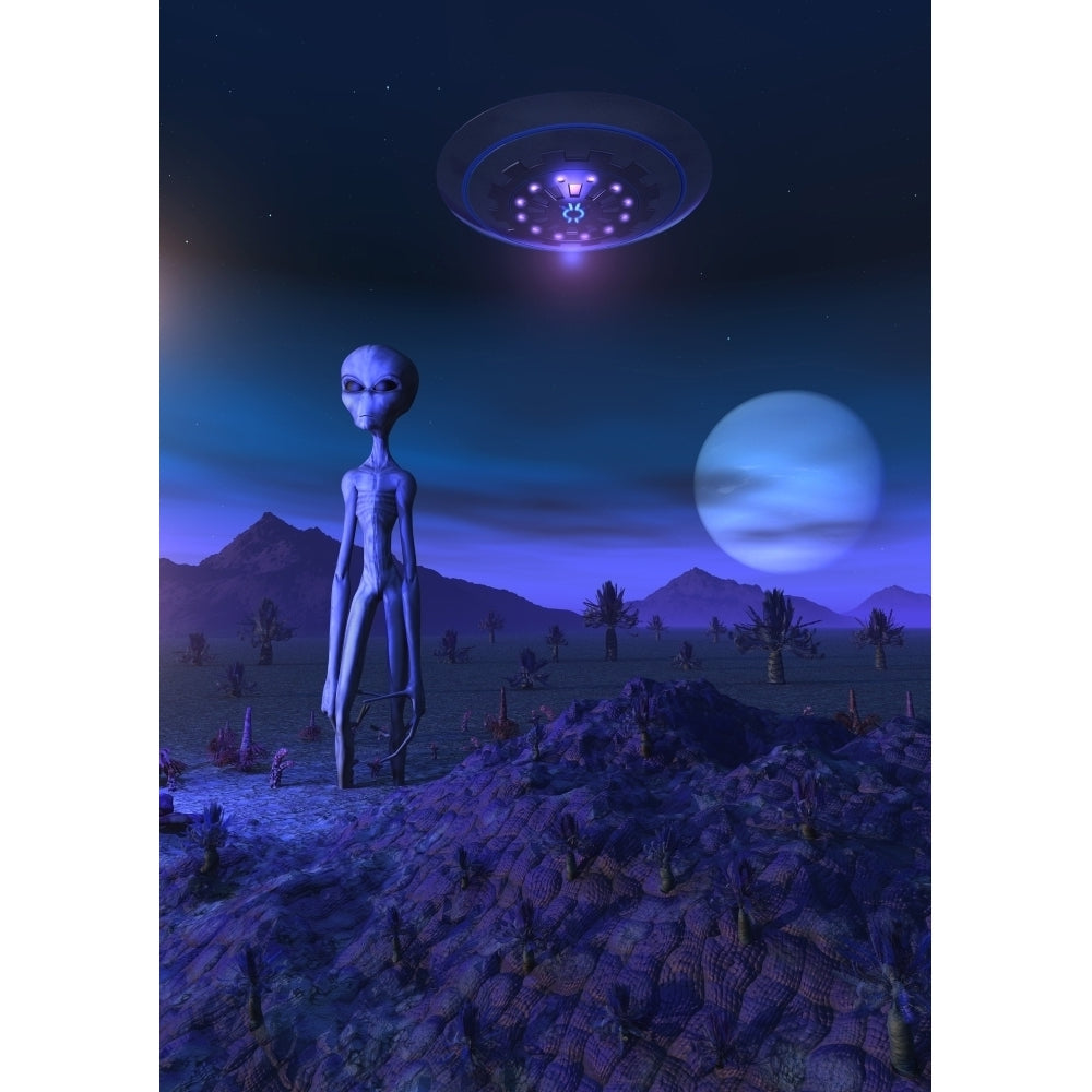 A Grey alien located on its homeworld of Zeta Reticuli Poster Print Image 1