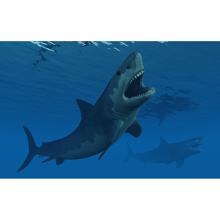 A giant Megalodon shark during the Cenozoic Era of time Poster Print Image 1