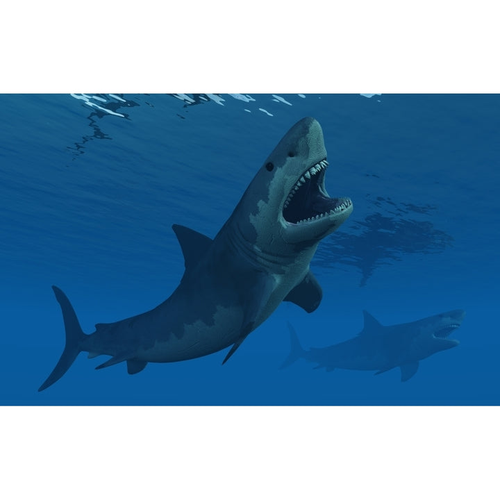 A giant Megalodon shark during the Cenozoic Era of time Poster Print Image 2