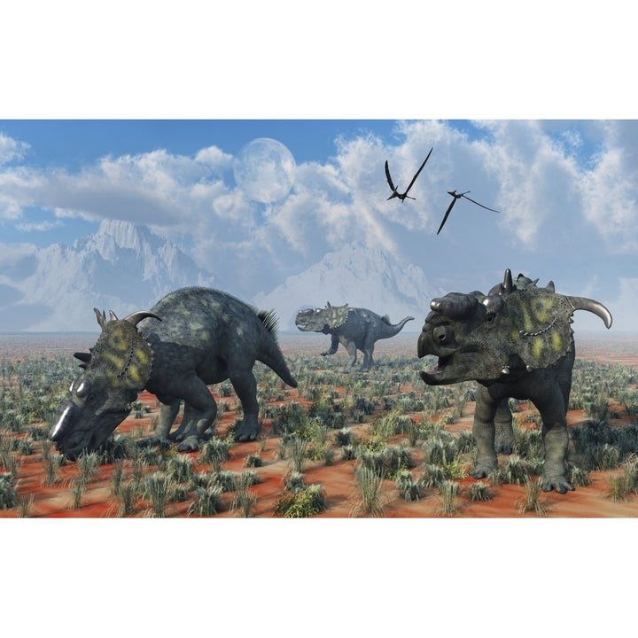 Pachyrhinosaurus dinosaurs grazing. Poster Print Image 1