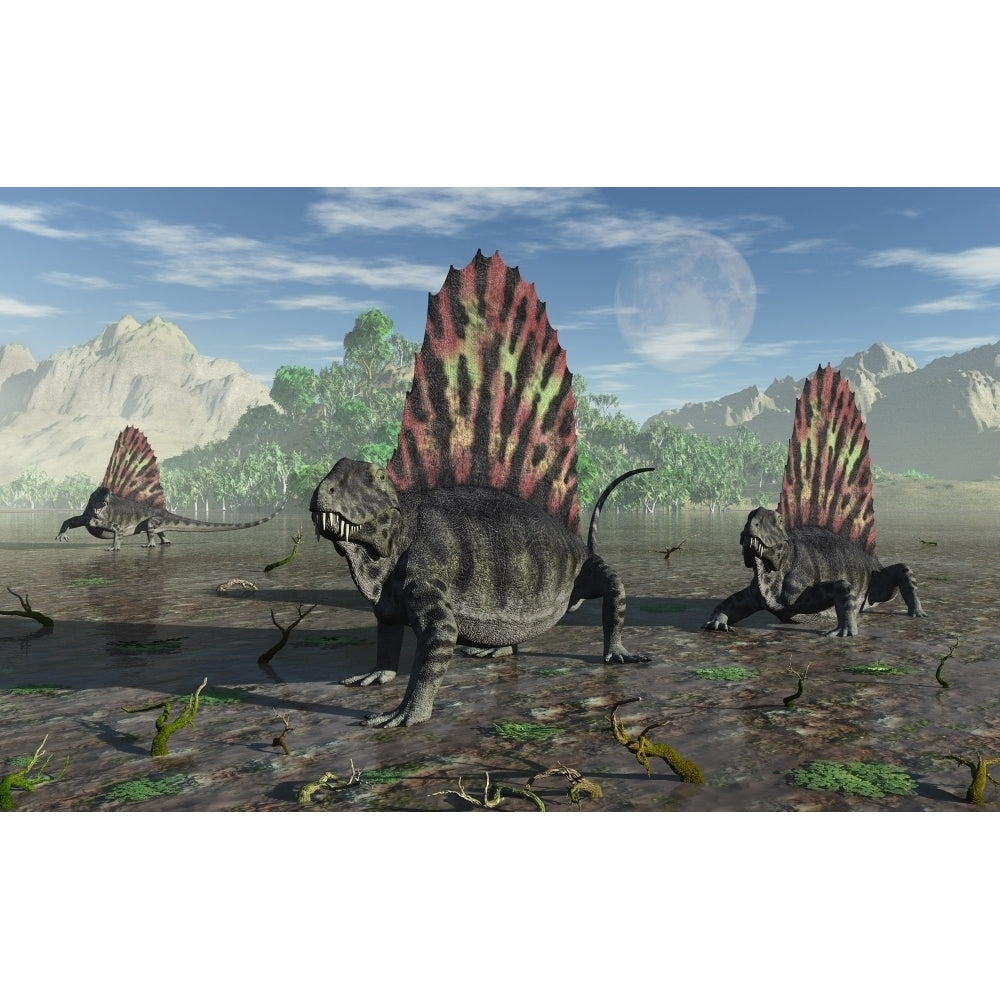 A group of sail-backed Dimetrodons during Earths Permian period Poster Print Image 2