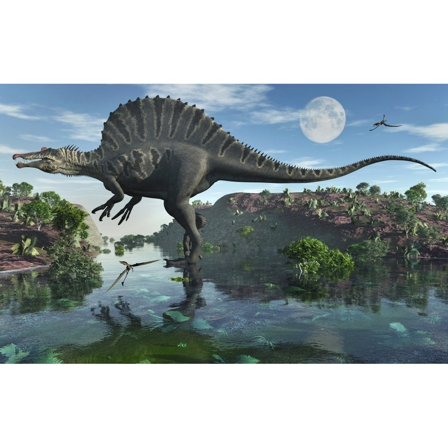 A carnivorous Spinosaurus during Earths Cretaceous period. Poster Print by Mark Stevenson/Stocktrek Images Image 1