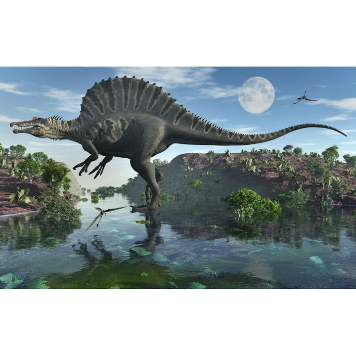 A carnivorous Spinosaurus during Earths Cretaceous period. Poster Print by Mark Stevenson/Stocktrek Images Image 2