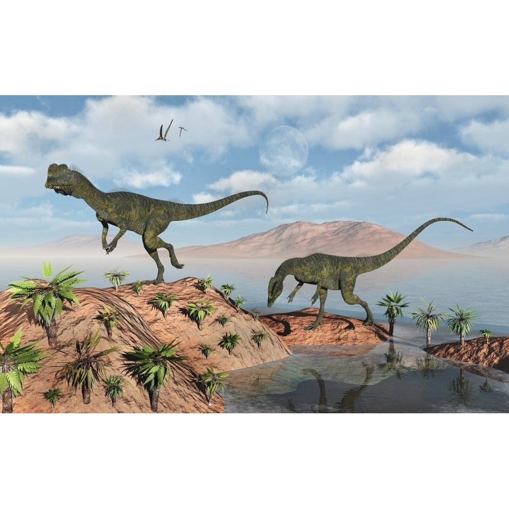 A pair of Dilophosaurus dinosaurs during Earths Jurassic period. Poster Print by Mark Stevenson/Stocktrek Images Image 2