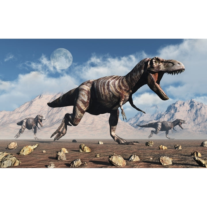 A pack of T-rex dinosaurs hunting during Earths Cretaceous period. Poster Print by Mark Stevenson/Stocktrek Images Image 1