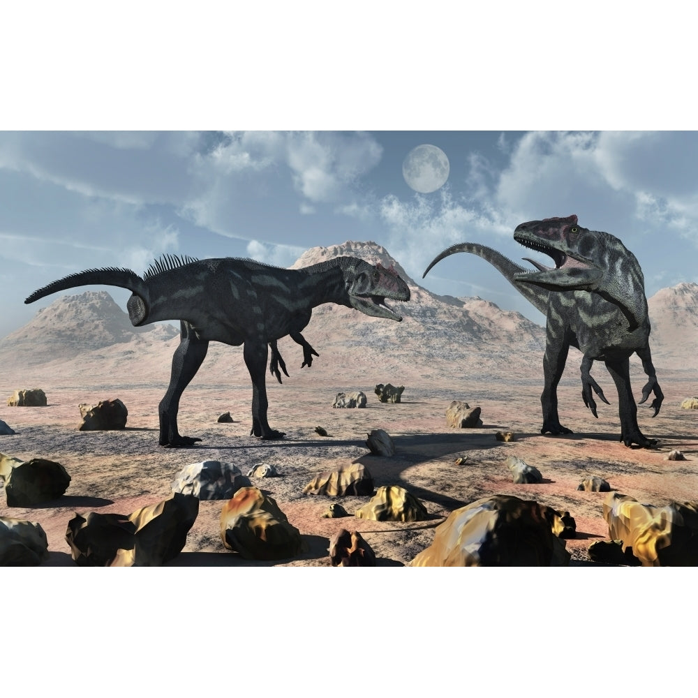 A pair of Allosaurus dinosaurs during Earths Jurassic period. Poster Print by Mark Stevenson/Stocktrek Images Image 1