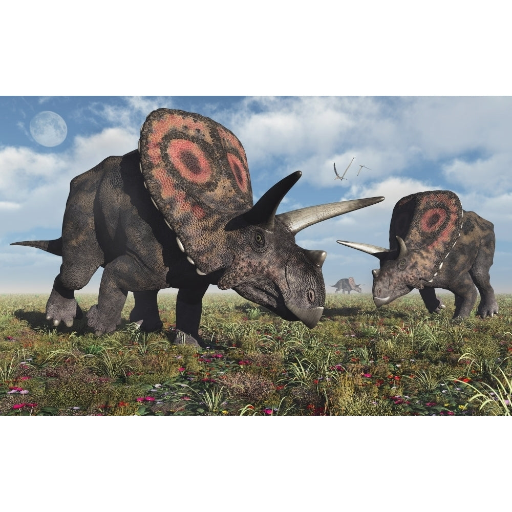 Torosaurus dinosaurs during Earths Cretaceous period. Poster Print by Mark Stevenson/Stocktrek Images Image 2