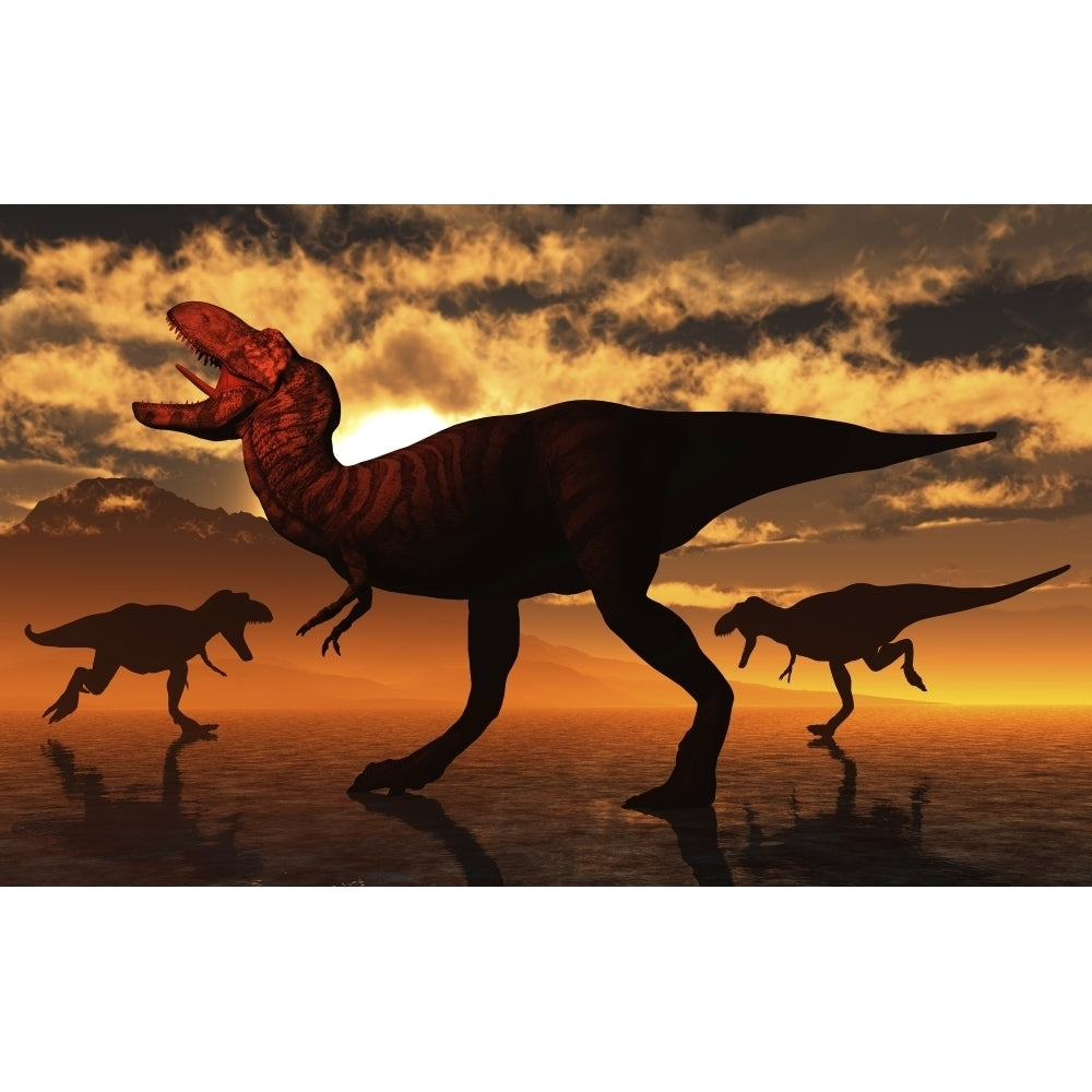 A pack of Tyrannosaurus rex dinosaurs hunting for food. Poster Print by Mark Stevenson/Stocktrek Images Image 1