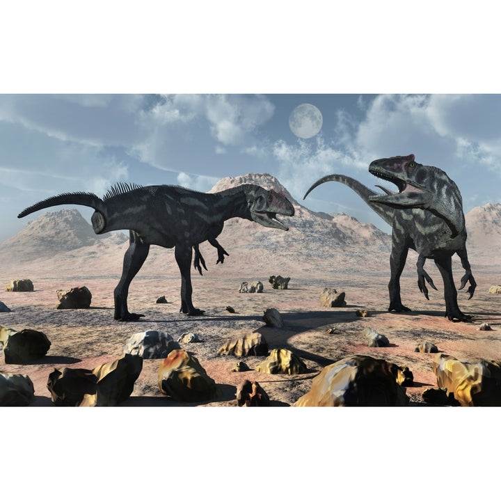 A pair of Allosaurus dinosaurs during Earths Jurassic period. Poster Print by Mark Stevenson/Stocktrek Images Image 2