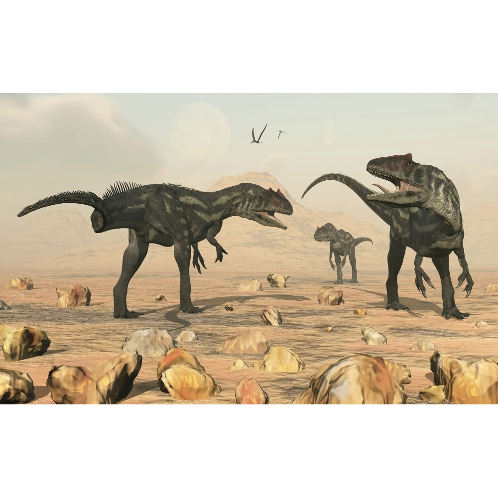 A small pack of Allosaurus dinosaurs. Poster Print by Mark Stevenson/Stocktrek Images Image 2