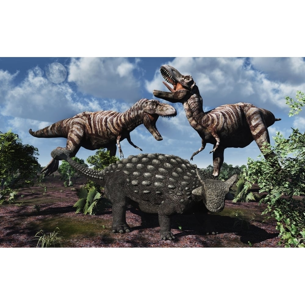 An armored Ankylosaurus protecting itself from a pair of T-rex dinosaurs. Poster Print by Mark Stevenson/Stocktrek Image Image 1