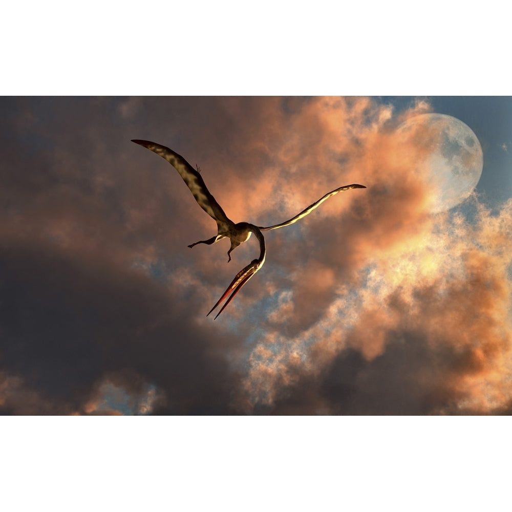 A large Quetzalcoatlus flying in the cloudy sky. Poster Print by Mark Stevenson/Stocktrek Images Image 1