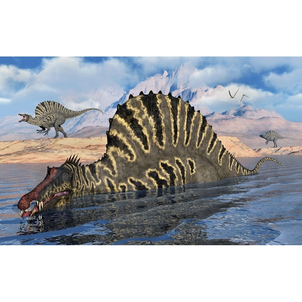 A Spinosaurus dinosaur hunting for food in a lake. Poster Print by Mark Stevenson/Stocktrek Images Image 1