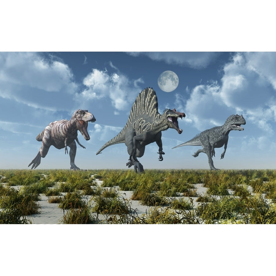 A Tyrannosaurus rex Spinosaurus and Allosaurus dinosaur. Poster Print by Mark Stevenson/Stocktrek Images Image 1