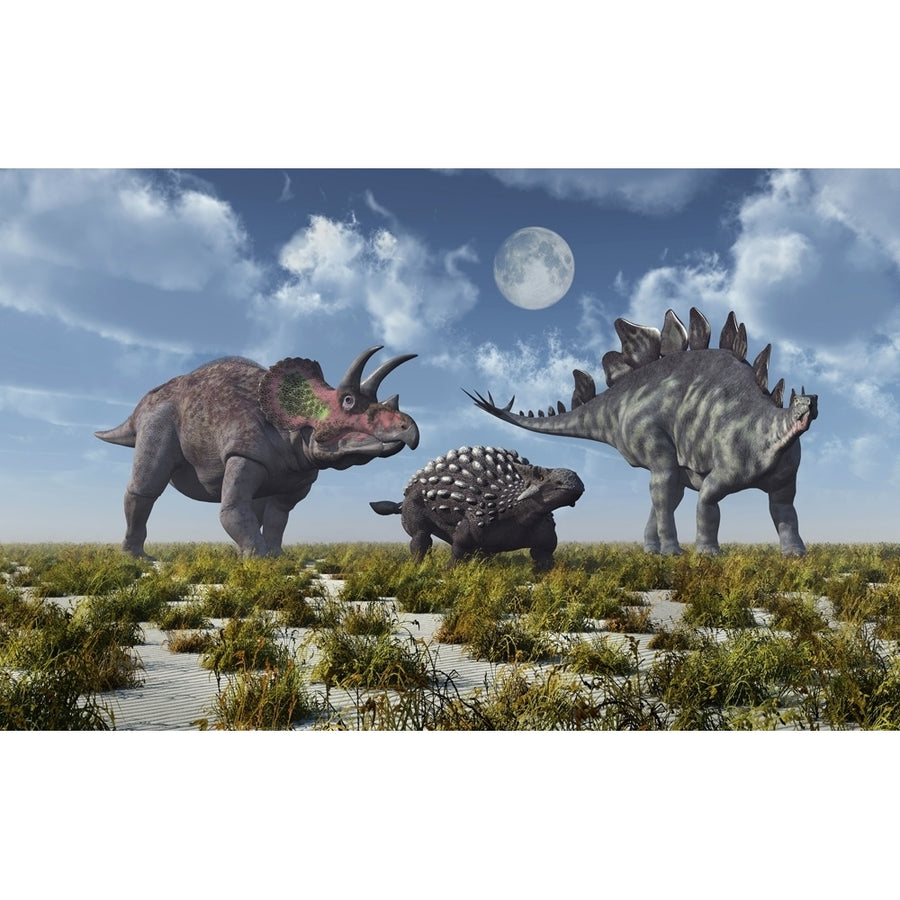 A Triceratops Ankylosaurus and Stegosaurus dinosaur. Poster Print by Mark Stevenson/Stocktrek Images Image 1