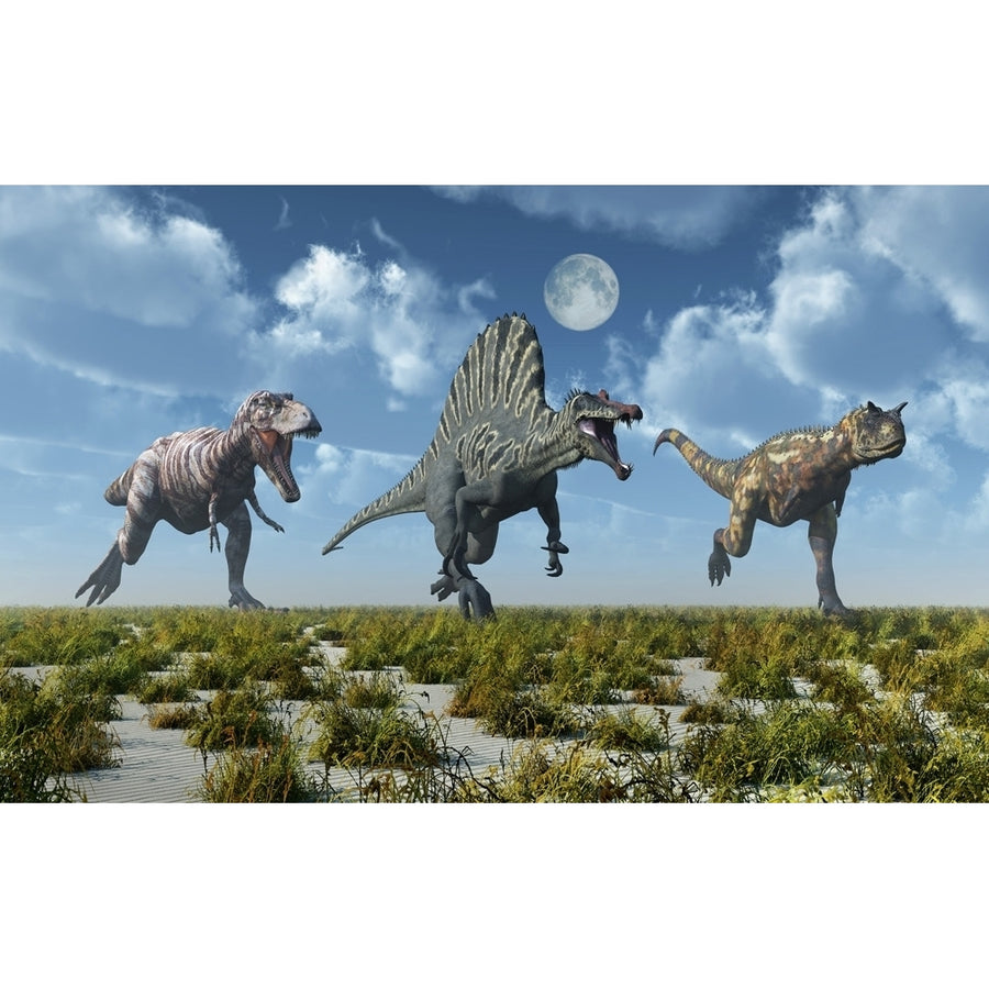 A Tyrannosaurus rex Spinosaurus and Carnotaurus dinosaur. Poster Print by Mark Stevenson/Stocktrek Images Image 1