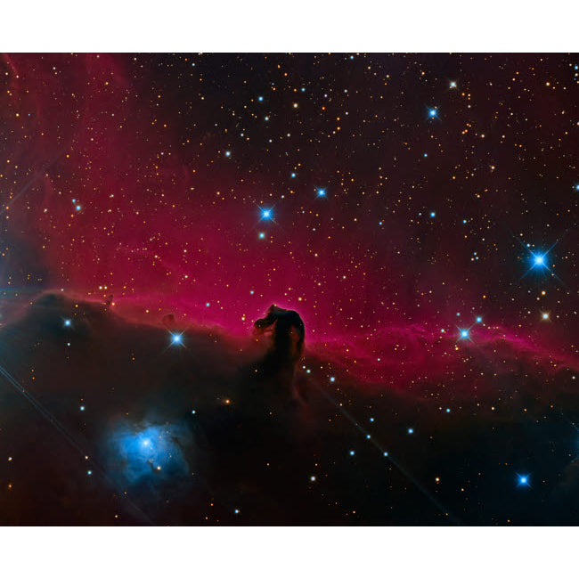 The Horsehead Nebula Poster Print by Michael Miller/Stocktrek Images Image 1