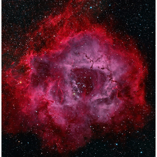 The Rosette Nebula Poster Print by Michael Miller/Stocktrek Images Image 1