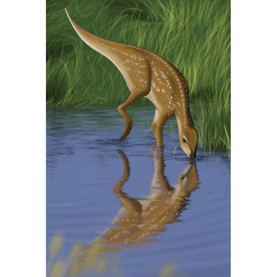 Hypsilophodon drinking water from a prehistoric lake Poster Print Image 1