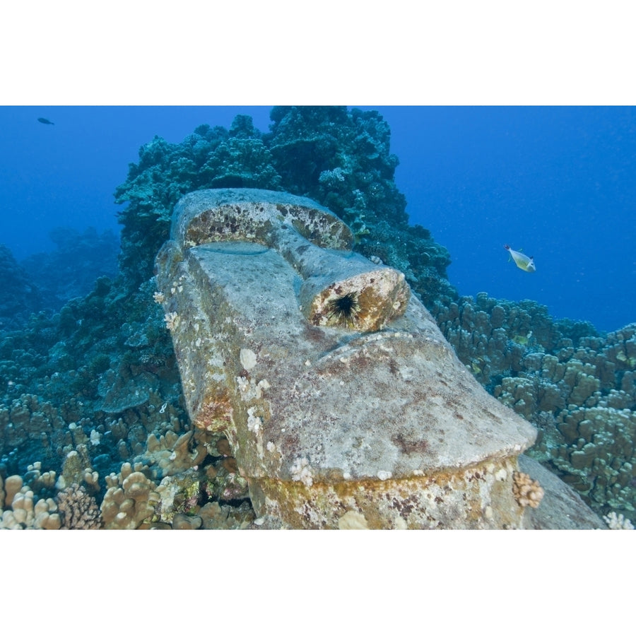 Sunken Moai Easter Island Chile Poster Print Image 1