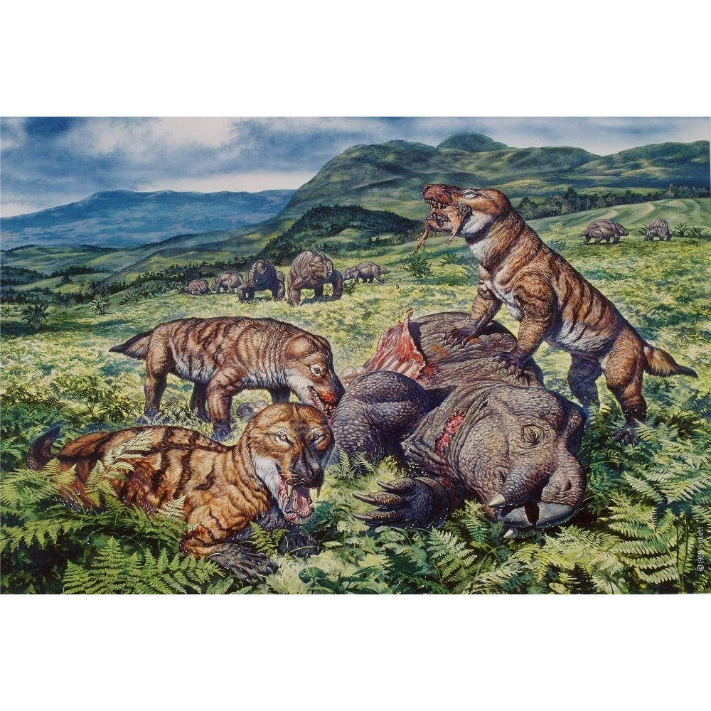 A group of carnivorous Cynognathus prey on a Placerias dicynodont Poster Print Image 1