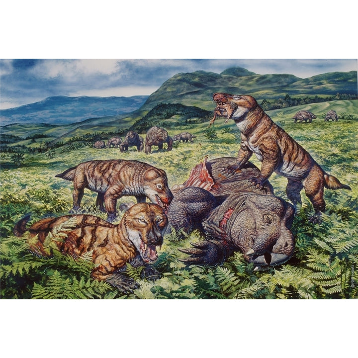 A group of carnivorous Cynognathus prey on a Placerias dicynodont Poster Print Image 2