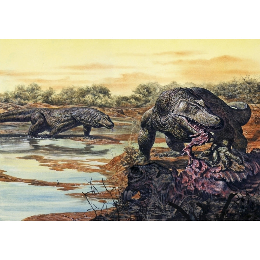 Megalania eating his prey Pleistocene Epoch Poster Print Image 1