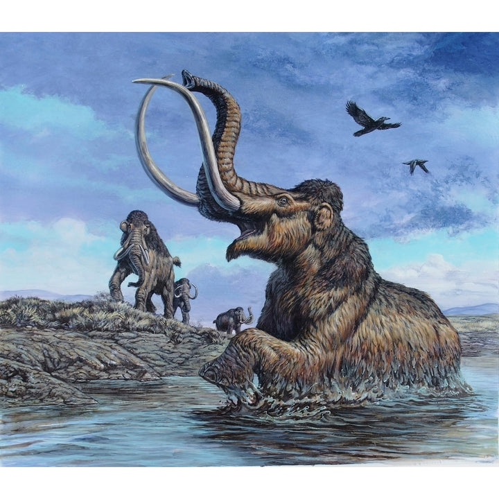 Columbian Mammoth trapped by asphalt at La Brea Tar Pits California Poster Print Image 1