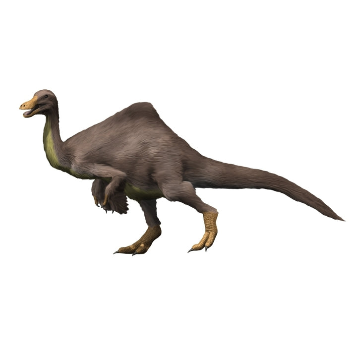 Deinocheirus is an ostrich-like dinosaur of the Late Cretaceous period Poster Print Image 2