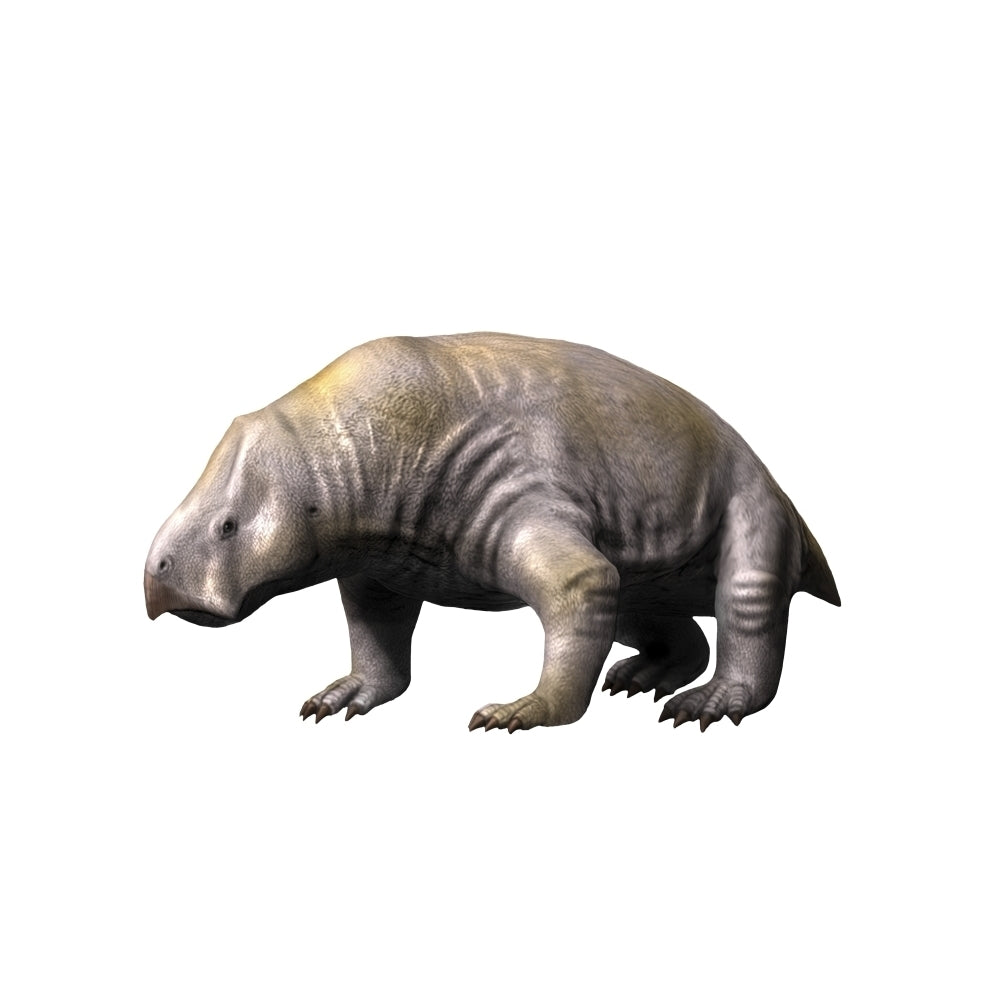 Ischigualastia is a dicynodont from the Late Triassic period Poster Print Image 1