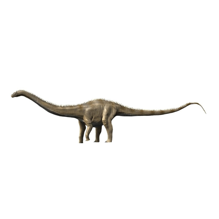 Supersaurus is a sauropod dinosaur from the Late Jurassic period Poster Print Image 1