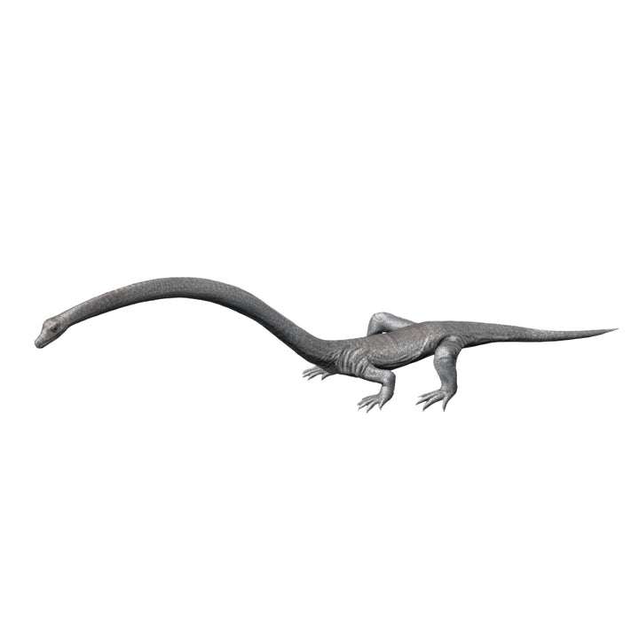 Tanystropheus is an archosauromorph from the Middle Triassic period Poster Print Image 2