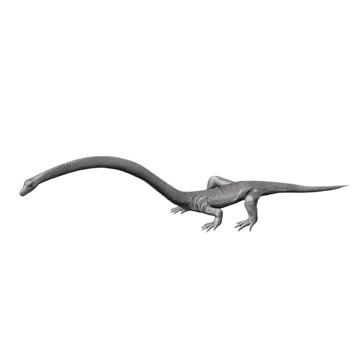 Tanystropheus is an archosauromorph from the Middle Triassic period Poster Print Image 1