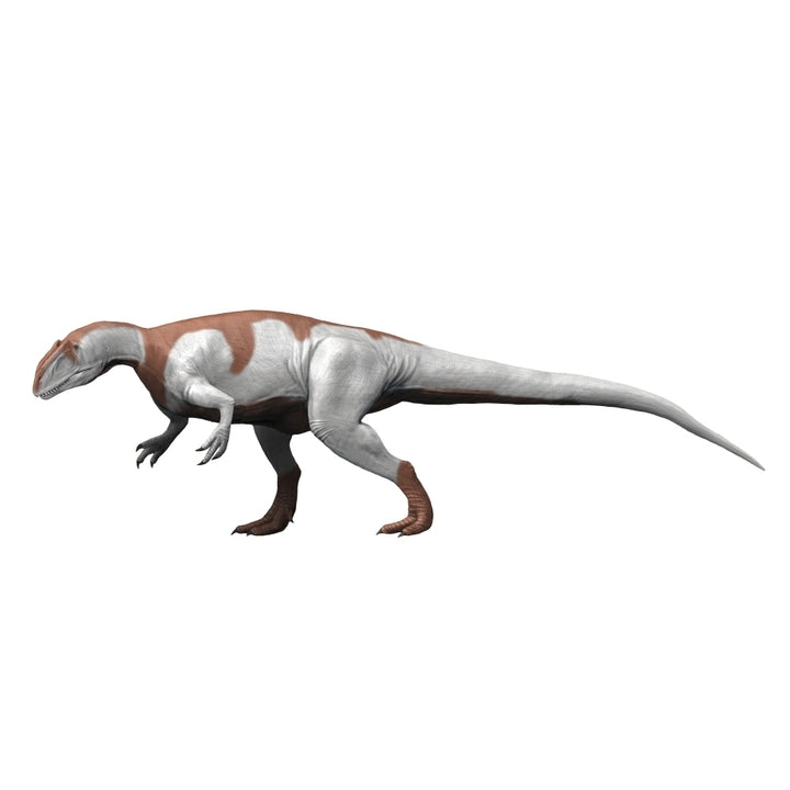 Yangchuanosaurus is a theropod from the Late Jurassic period Poster Print Image 2