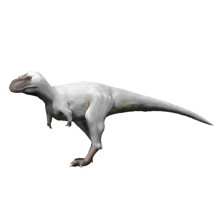 Nanuqsaurus is a theropod from the Late Cretaceous period Poster Print Image 1