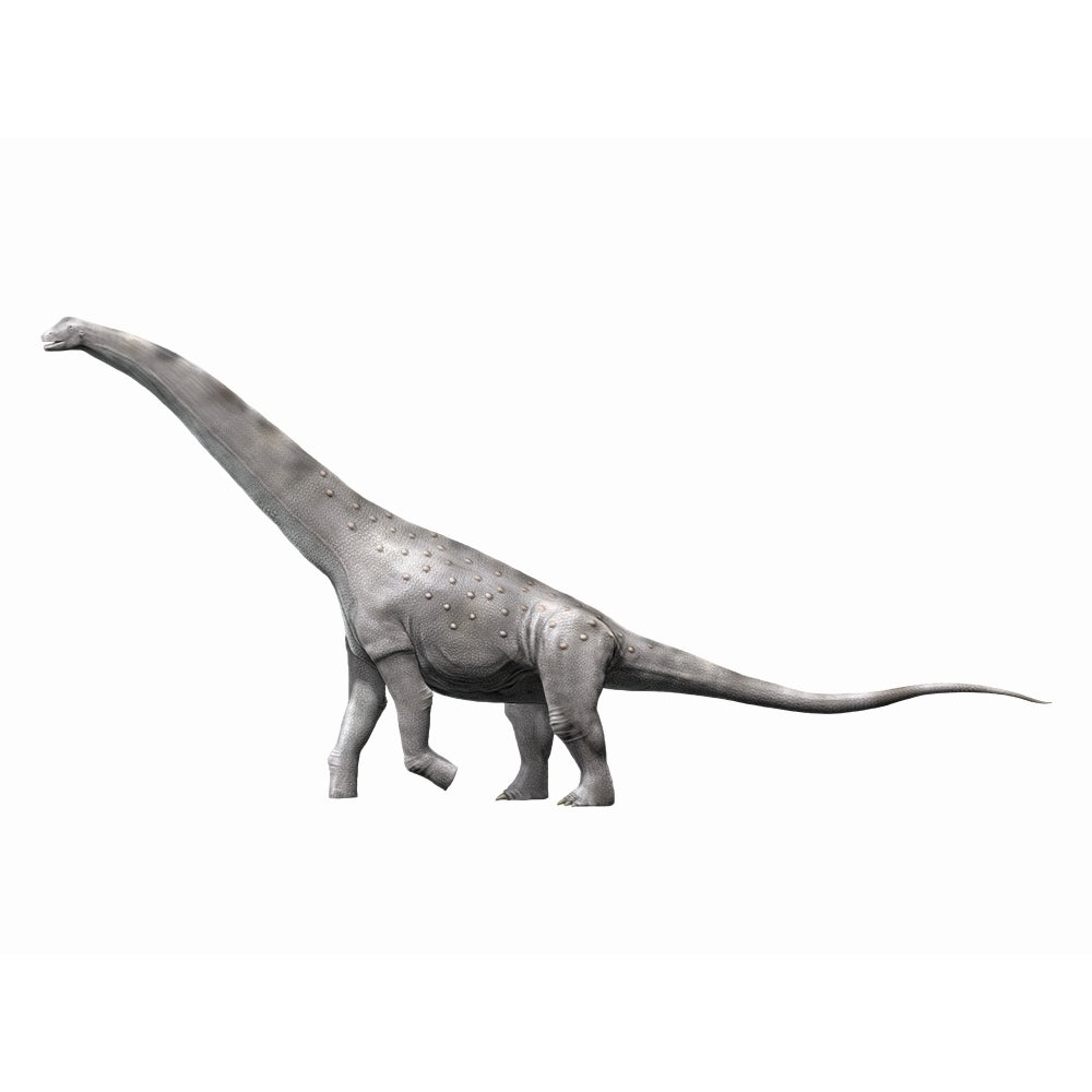 Alamosaurus sanjuanensis a sauropod from the Late Cretaceous Period Poster Print Image 1