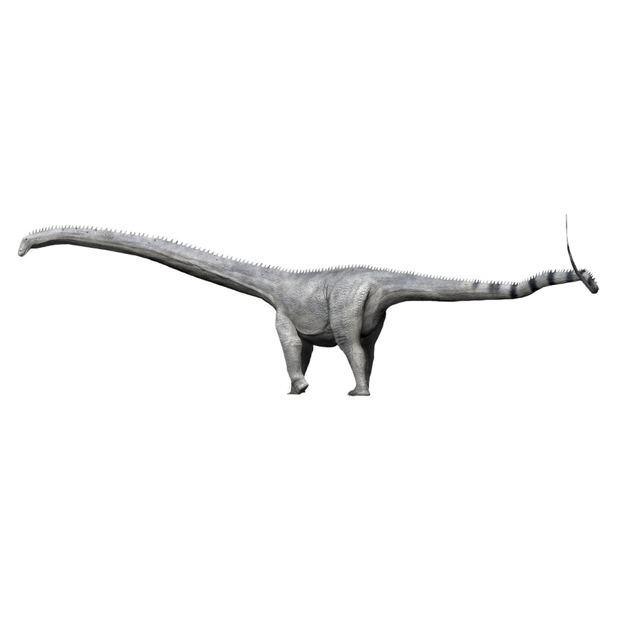 Barosaurus dinosaur Poster Print Image 1