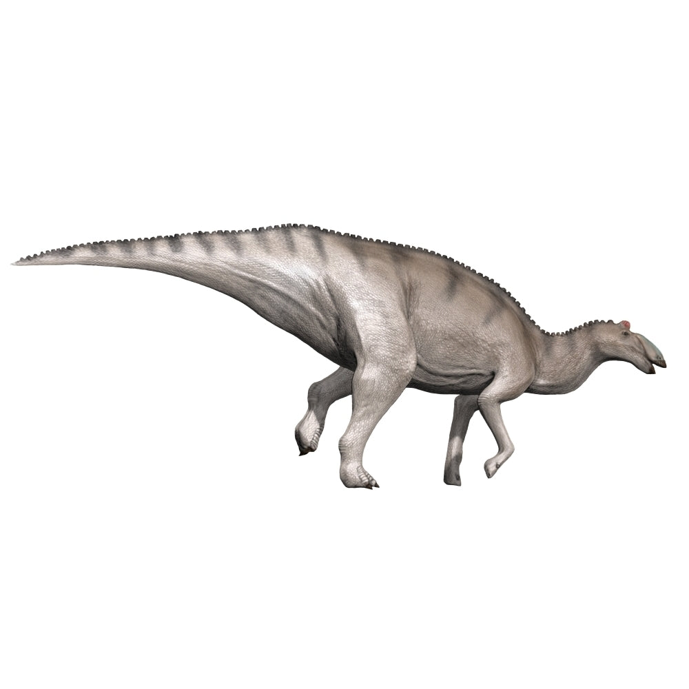 Edmontosaurus dinosaur Poster Print Image 1