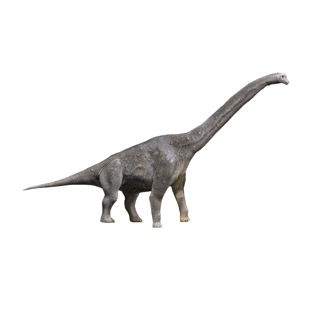 Giraffatitan dinosaur Poster Print Image 2