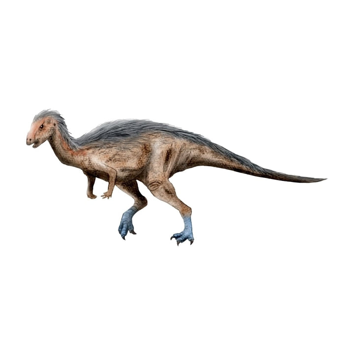 Dryosaurus dinosaur Poster Print Image 1