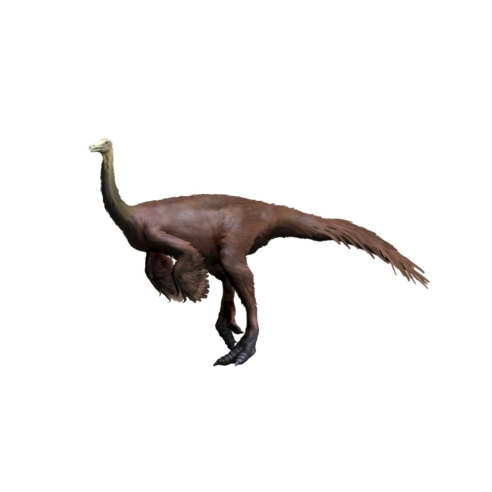 Ornithomimus dinosaur Poster Print Image 1