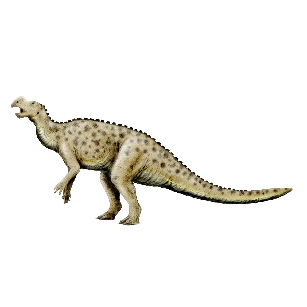 Muttaburrasaurus dinosaur Poster Print Image 1