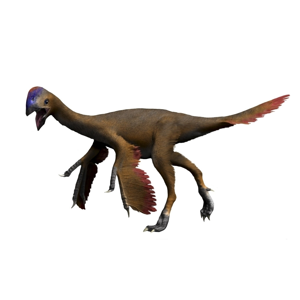 Oviraptor dinosaur Poster Print Image 1