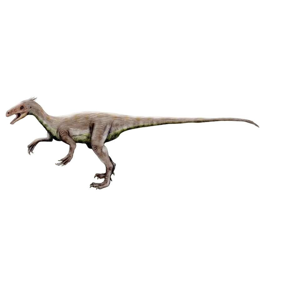 Ornitholestes dinosaur Poster Print Image 1